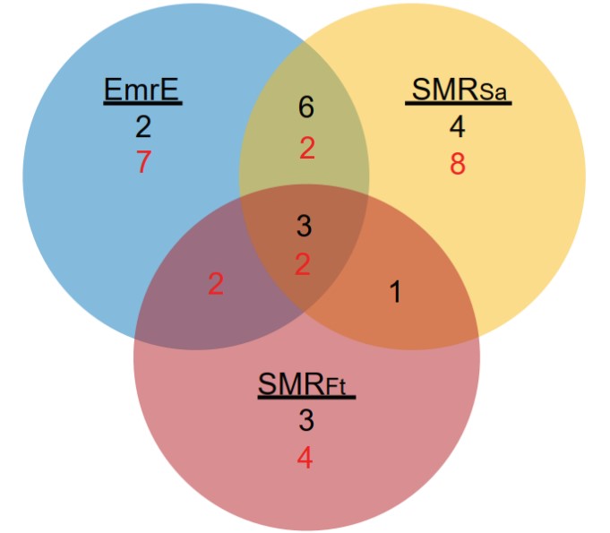 Smpr Algorithm Research – Henzler-Wildman Lab – UW–Madison